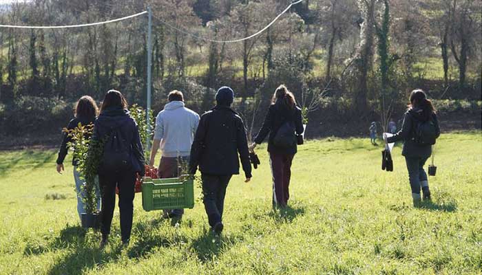 EJ-employees-carrying-trees-to-plant-earth-day