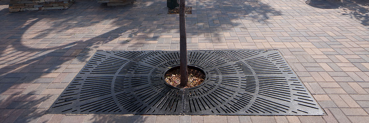 Black Sunray rectangular EJ Tree grate in downtown Escondido California with picnic tables and brick walkway