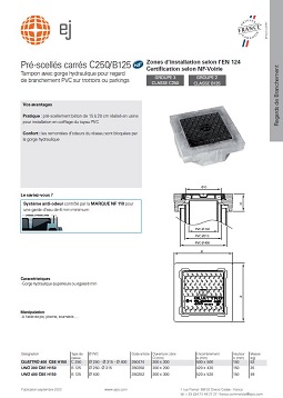 PDF - C250-B125 - PRÉ-SCELLÉS CARRÉS