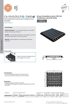PDF - D400 - CA 10110 DVLP