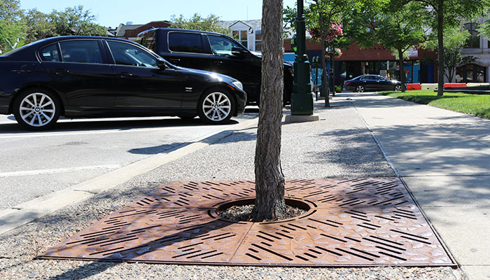 EJ tree grate installed in sidewalk